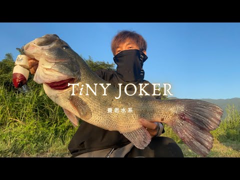 DRT】TiNY JOKER / タイニージョーカー POPPING（RED HEAD#2） - YouTube