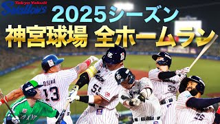 オンライン | ファン感謝DAY2025 presented by マイナビ | 東京