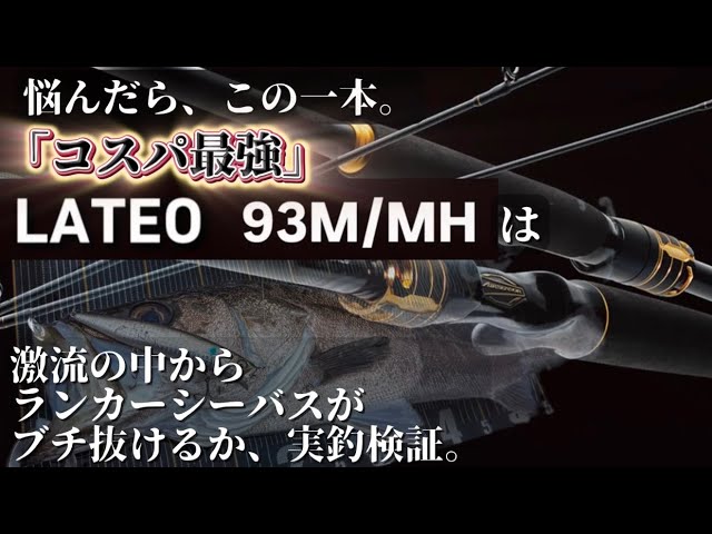 Best value rod for cost performance] Large sea bass in rapids