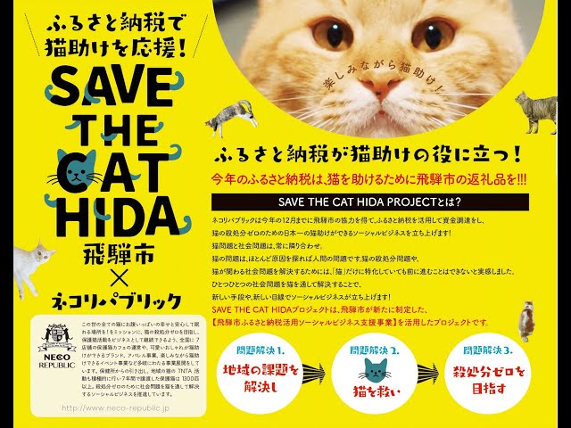 ふるさと納税でネコ助けできる⾶騨市とのプロジェクト「SAVE THE CAT