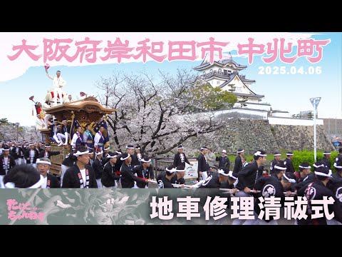 中北町だんじり修理清祓式(きよはらいしき) だんじり×桜×お城 2025.04