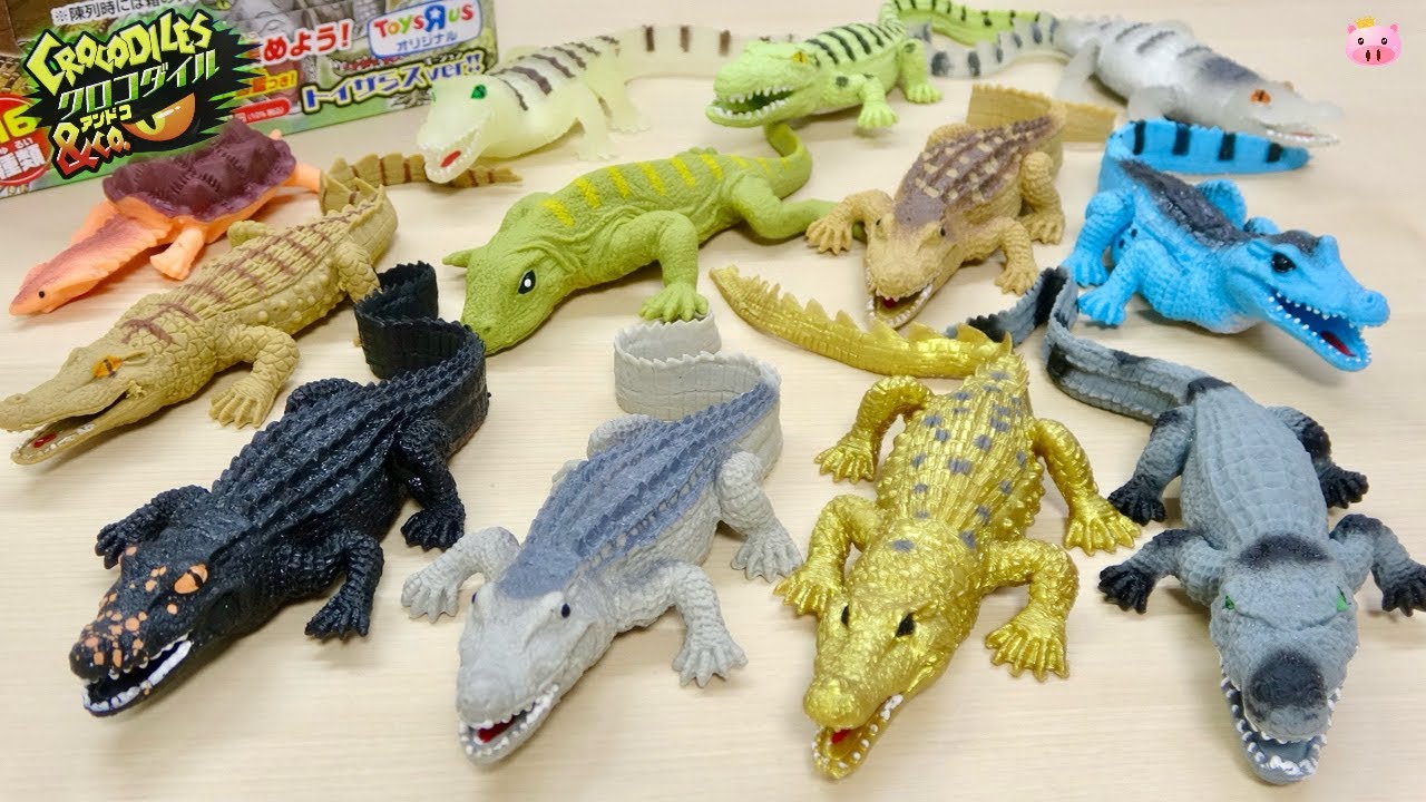 &Co.】シリーズ 日本初登場!デアゴスティーニ 『トイザらス限定