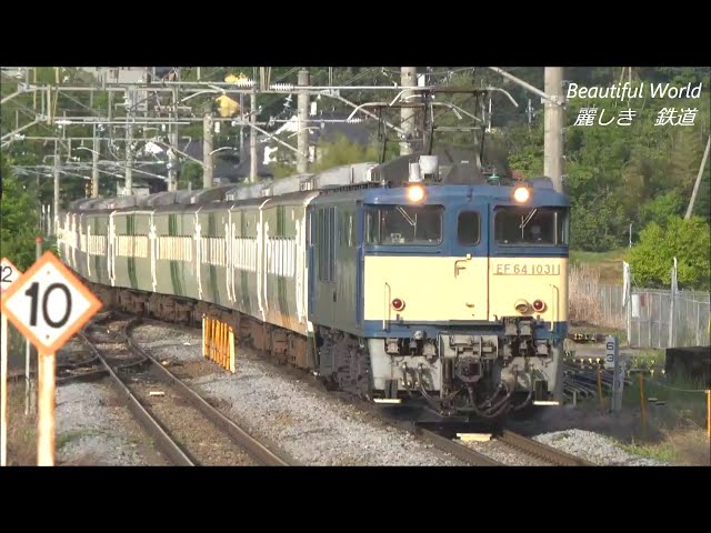 元 特急踊り子号 185系A5編成 死神に牽引され廃車回送される！2022.5