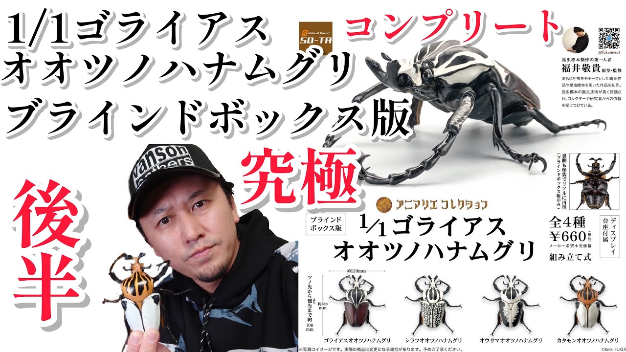 ブラインドボックス版】1/1ゴライアスオオツノハナムグリ【株式会社SO