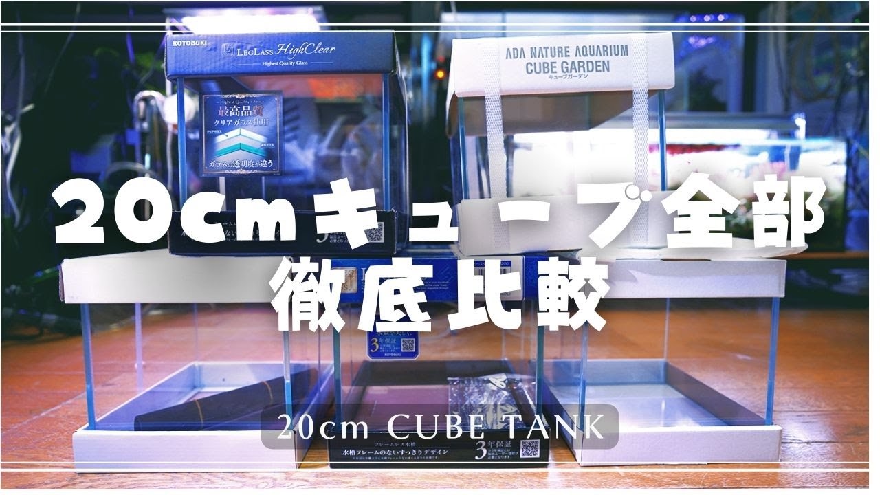 We bought all the 20cm cube aquariums and compared them thoroughly