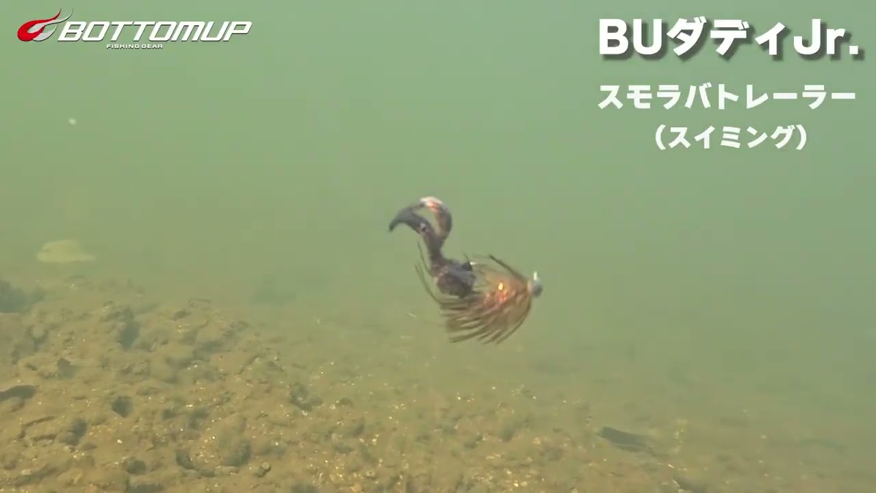 BU Daddy Jr.【オンラインストア限定】 – Bottomup(ボトムアップ)公式