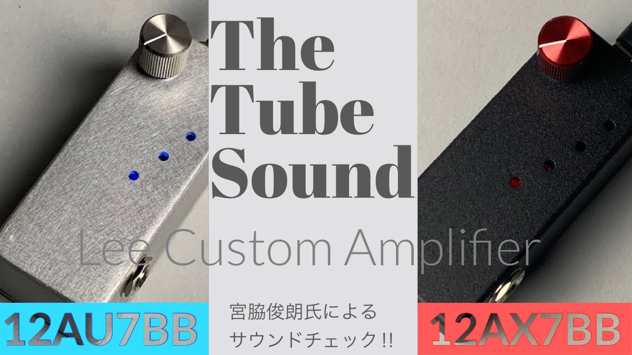 本物の真空管サウンド】プロ御用達のブランド Lee Custom Amplifier の