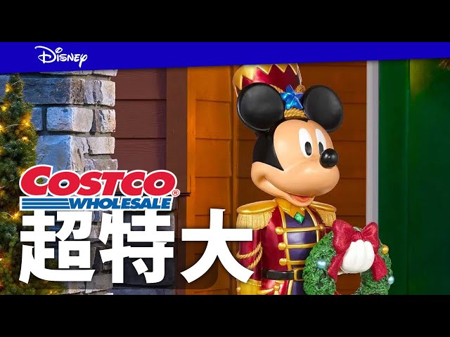 Instantly transform your home into a Disneyland Christmas! 6