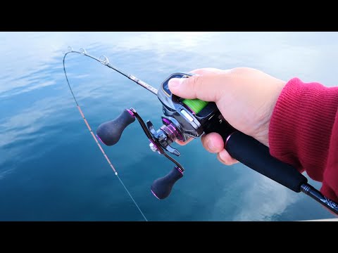 A story about how I bought a fishing rod on a whim without doing