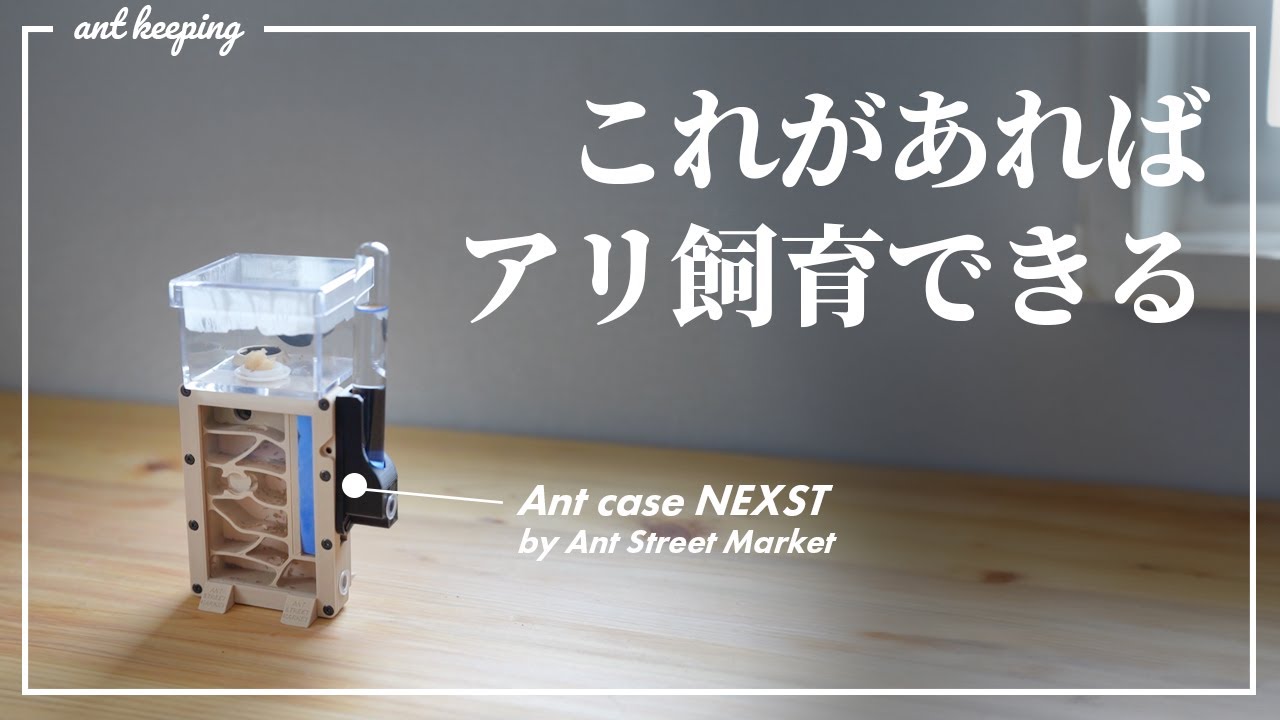 全部入りのアリ飼育ケースが発売されたぞ…！【Ant case NEXST】 - YouTube
