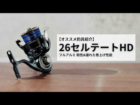 New Daiwa] 26 Certate HD LT4000-CXH Unboxing & Review | Equipped