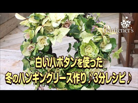 ♪ 冬の寄せ植え3分レシピ ♪白いハボタンを使ったハンギングリース