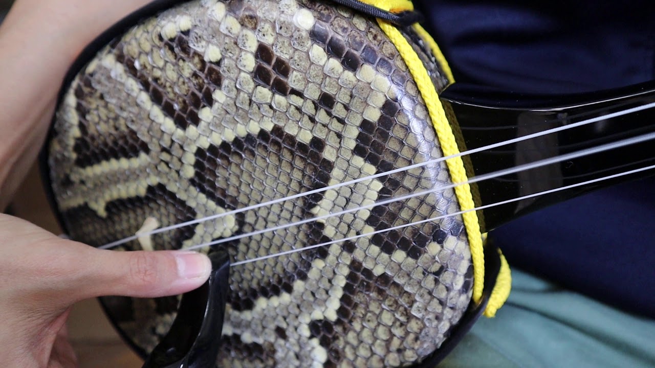 本張り(本蛇皮1枚張り)と強化張りの音色の違い① 強化張り - YouTube