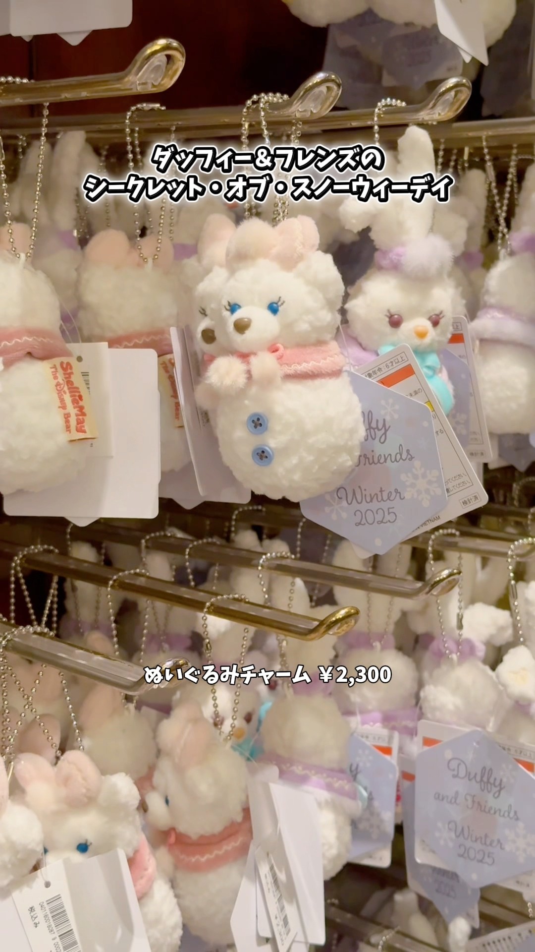 ダッフィー＆フレンズ シークレットオブスノーウィーデイ ぬいぐるみ