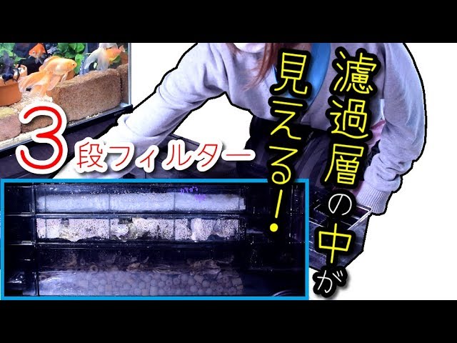 3-tier top filter! Enhanced filtration with GEX Grande Custom for