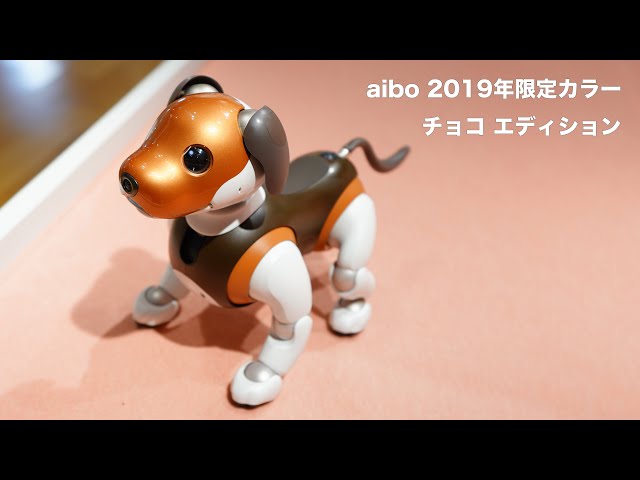 Sony “aibo”（アイボ） | 2019年限定カラーモデル「aibo チョコ