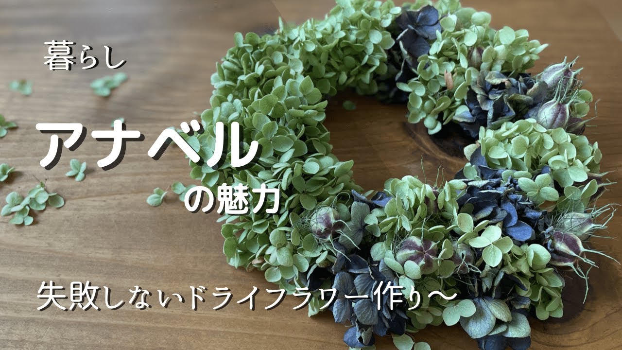 暮らしのvlog】家にある材料でリースづくり/アナベルのフラワーボール