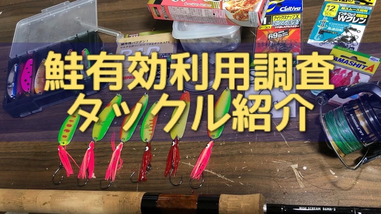 鮭釣りタックル紹介】三面川サケ有効利用調査で使用するものすべて紹介