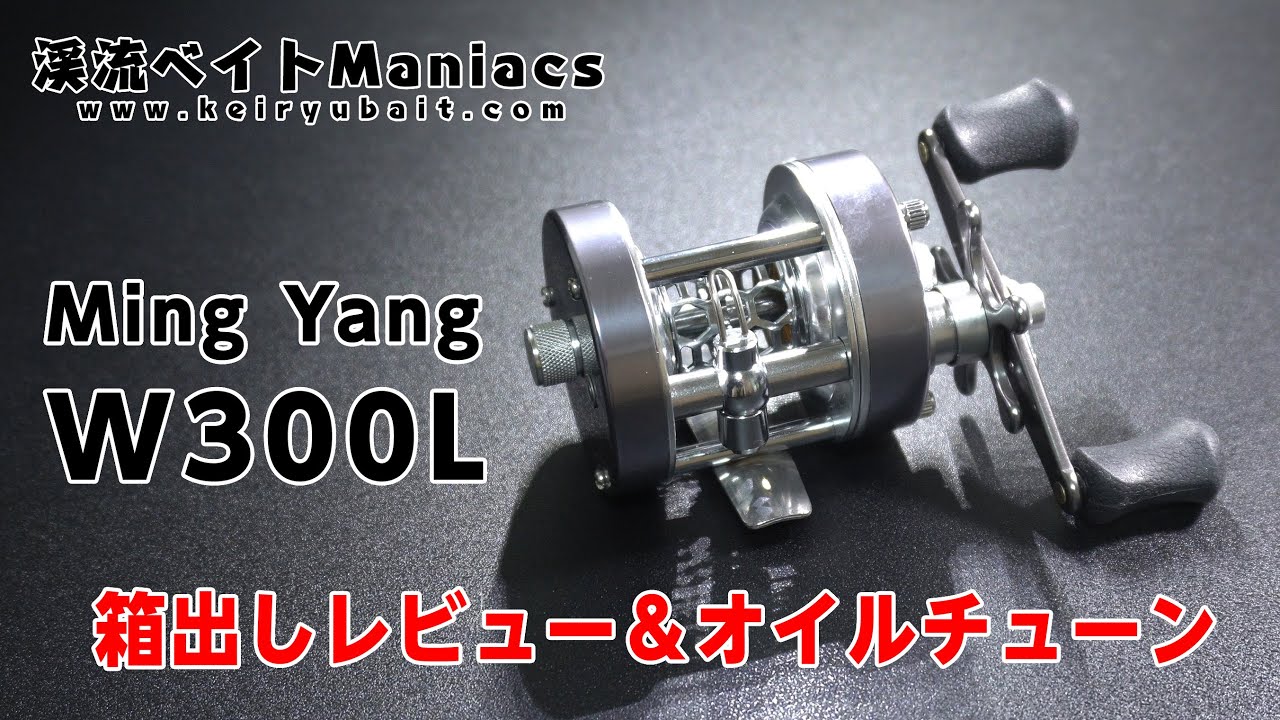 MingYang W300レビュー＆インプレ】中華アンバサダーを買ったけど飛ば