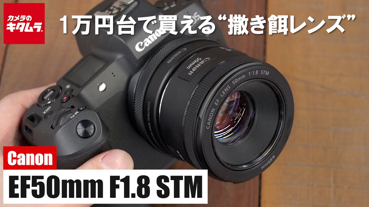 ❤️一眼レフの醍醐味❤️キヤノン Canon EF 50mm f1.8 STM❤️ 【公式