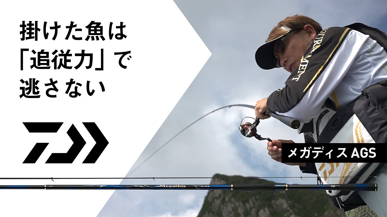 ダイワ 磯竿 メガディス AGS 1.25-50・N (5ピース)(1.25-50・N): 竿