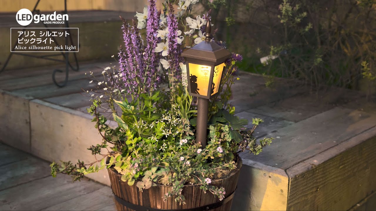アリス シルエットピックライト 4個セット 交換用充電池付き特別セット