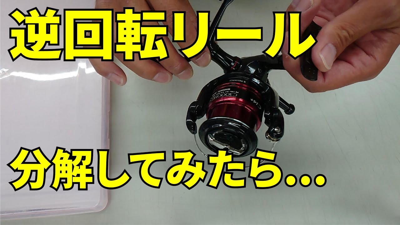 まさかの原因！【逆回転リール】 - YouTube