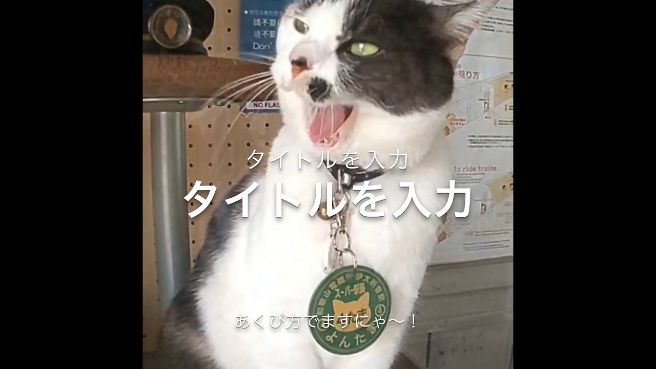 ねこ駅長について | 和歌山電鐵