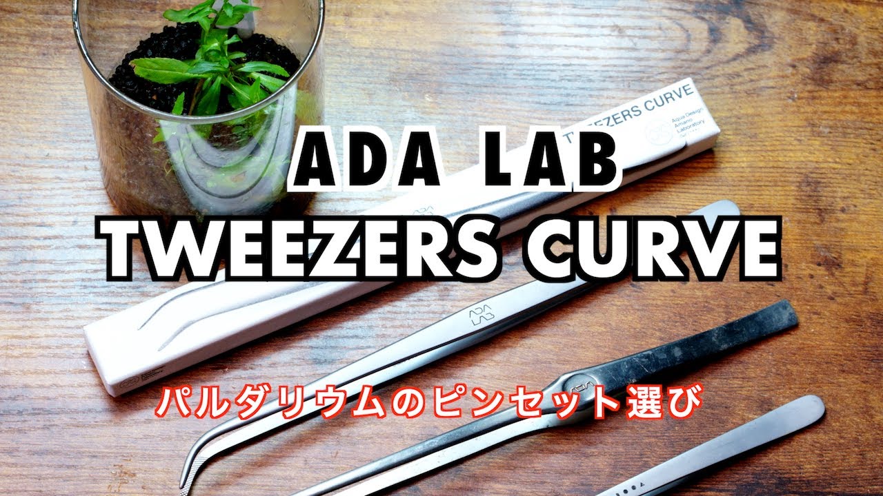 ADA LAB】限定ピンセット《ツイザーズ カーブ》が登場！パルダリウムの