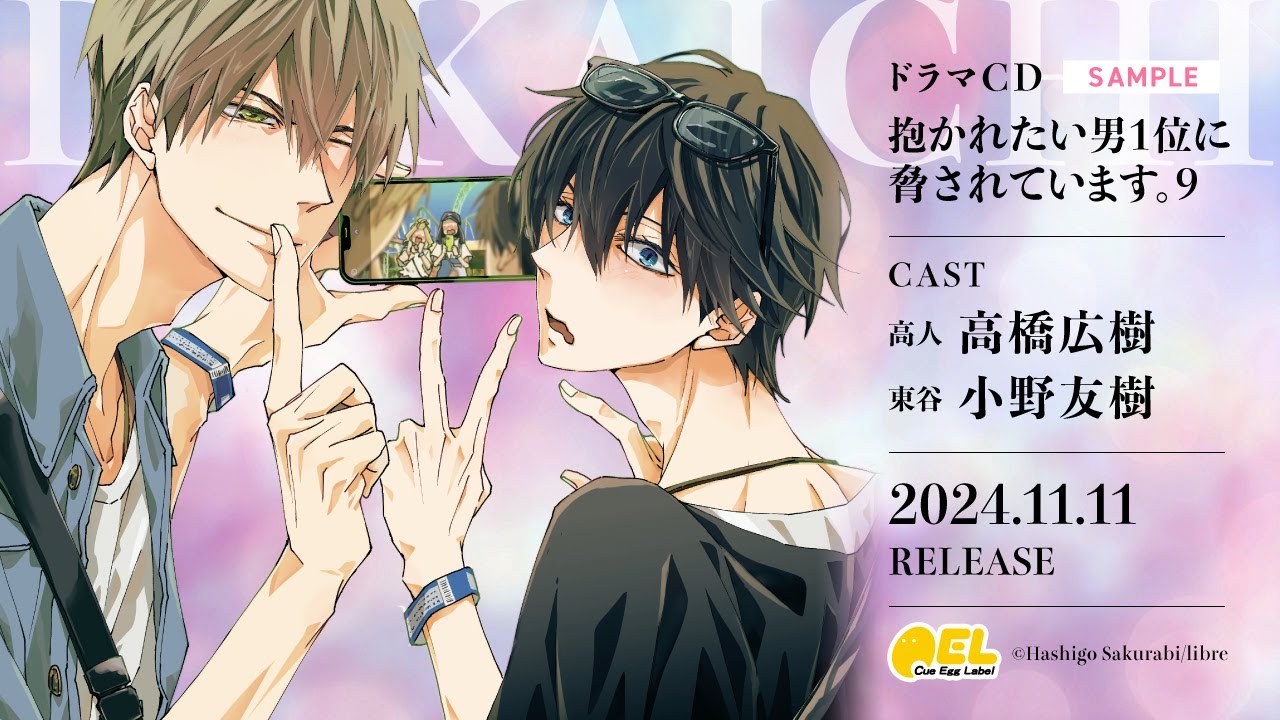 抱かれたい男1位に脅されています。だかいち ドラマCDセット 14枚