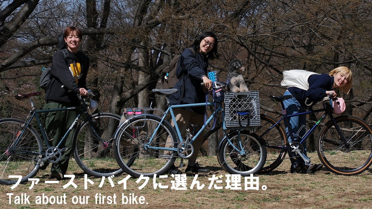 SURLY* straggler 700c frame (cold blue) - BLUE LUG ONLINE STORE