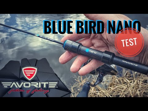 Avižadrebis - Favorite Blue Bird Nano BB1-602N-S - YouTube