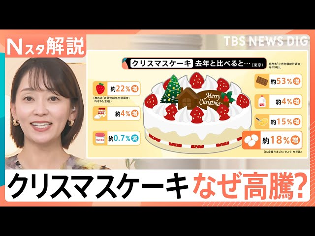 カタログ見るとワクワク、値段を見るとドキッと…」クリスマスケーキ