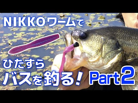アメリカで流行ってるNEDリグを使ってみたら・・・Part2/3【ブラック