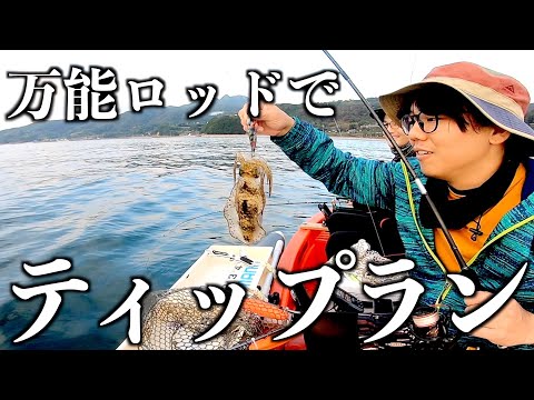 ティップラン】