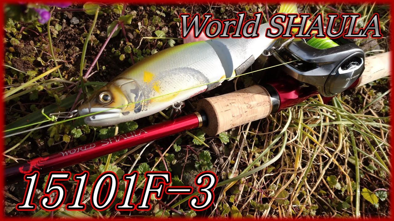 ワールドシャウラ】美ぴーじゃありませんか【15101F-3】 - YouTube