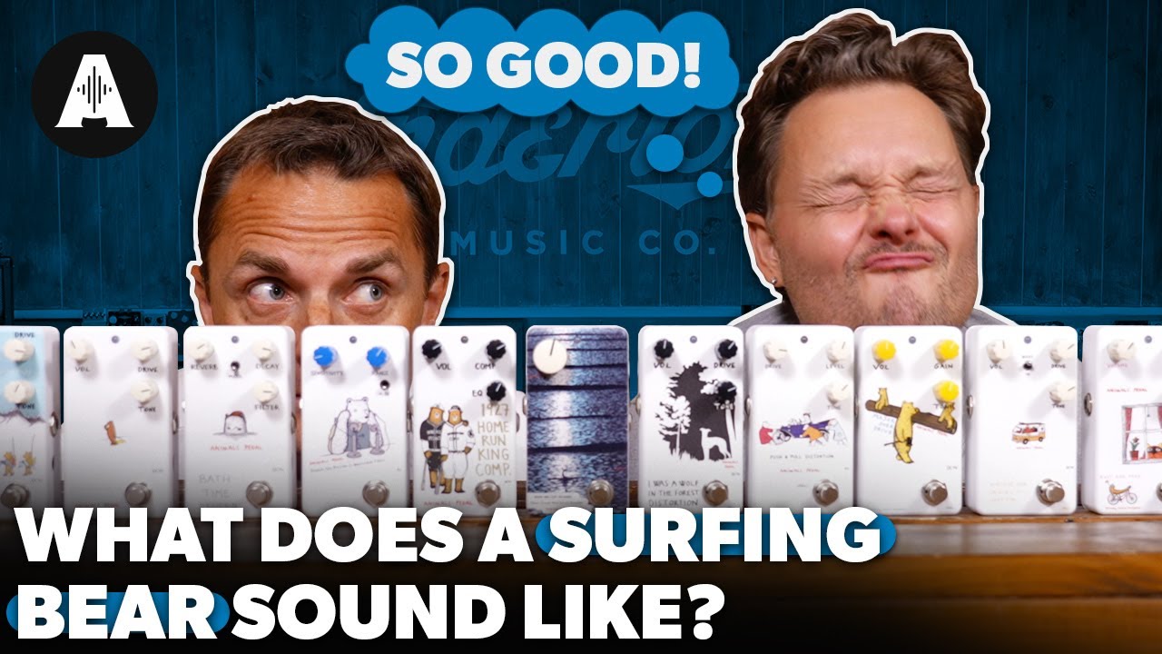 Animals Pedal SURFING POLAR BEAR BASS OVERDRIVE MOD BY BJF