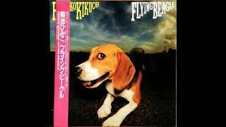 菊池ひみこ Himiko Kikuchi ‎– Flying Beagle (Full Album) - YouTube