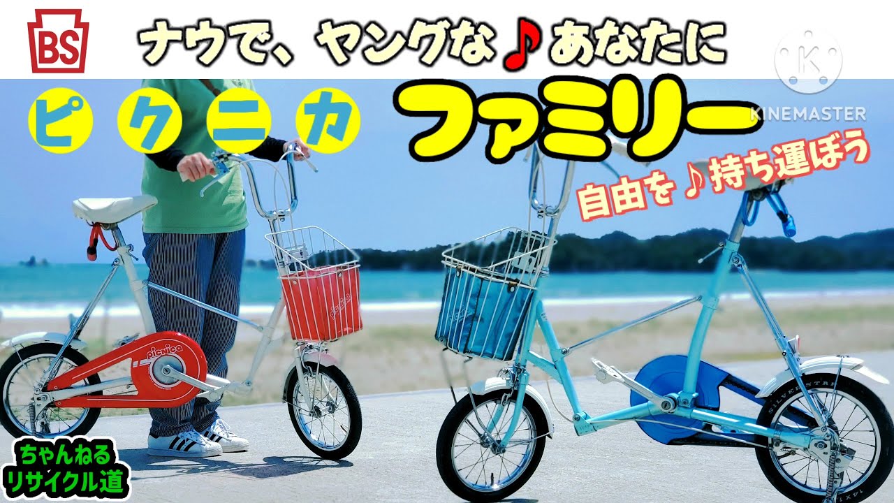 🌠昭和のナウい🎵自転車【ピクニカ☆ファミリー】でランデブー