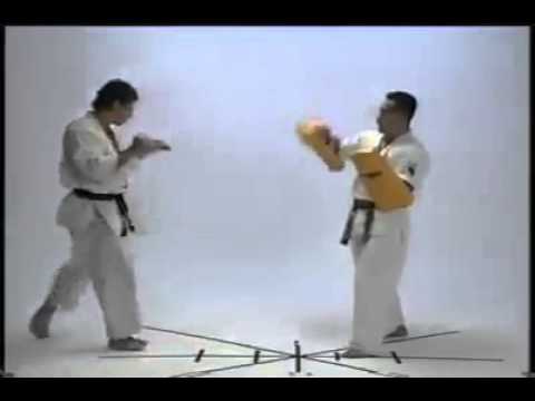 踵落とし（アンディフグ） - YouTube