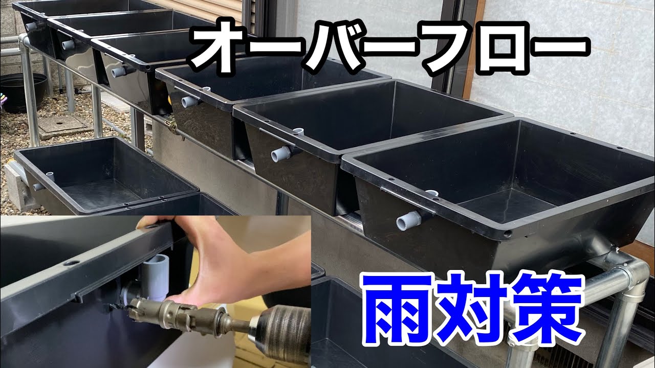 雨対策】メダカ容器をオーバーフロー加工してみた - YouTube