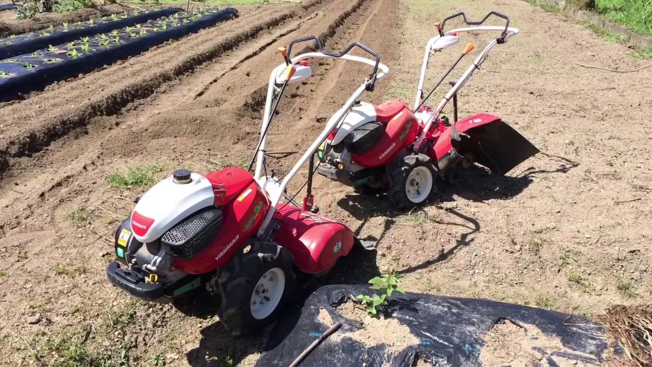 ヤンマーポチMRT650 UV 枝豆の土寄せ！ - YouTube