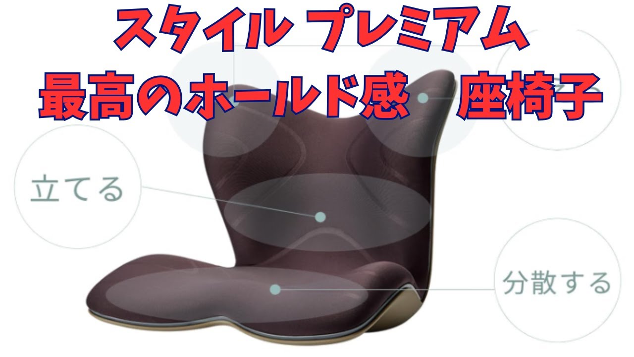 Style Premium MTG Posture Corrector Pelvic Support Chair with