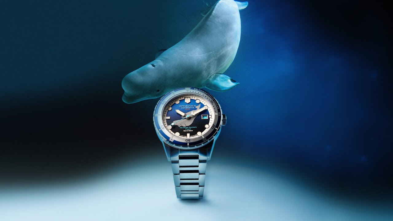 HASS AUTOMATIC The Whale Sanctuary Project Second edition