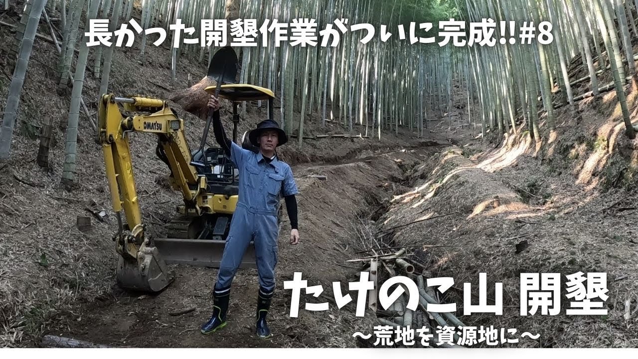Clearing the bamboo forest #8 - YouTube