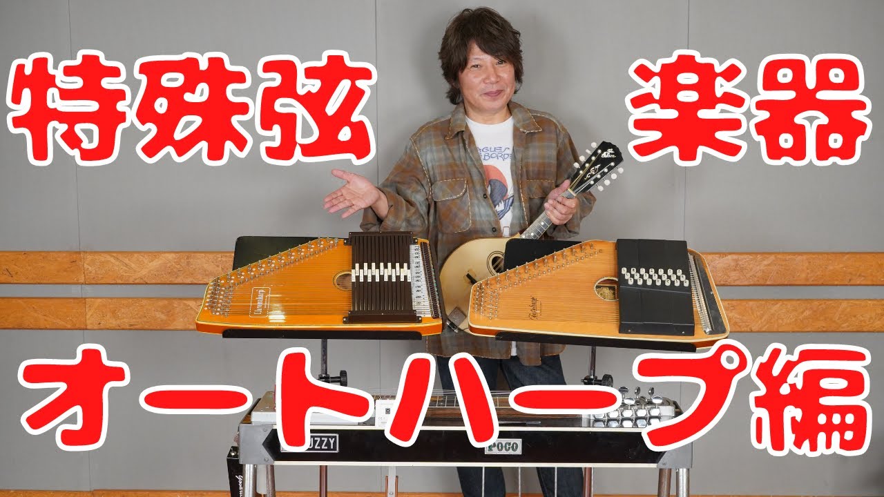 レア samick サミック chromaharp クロマハープ オートハープ レア