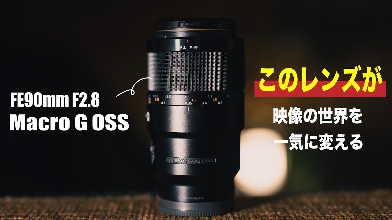 FE 90mm F2.8 Macro G OSS レンズプロテクター付き マクロレンズは撮影
