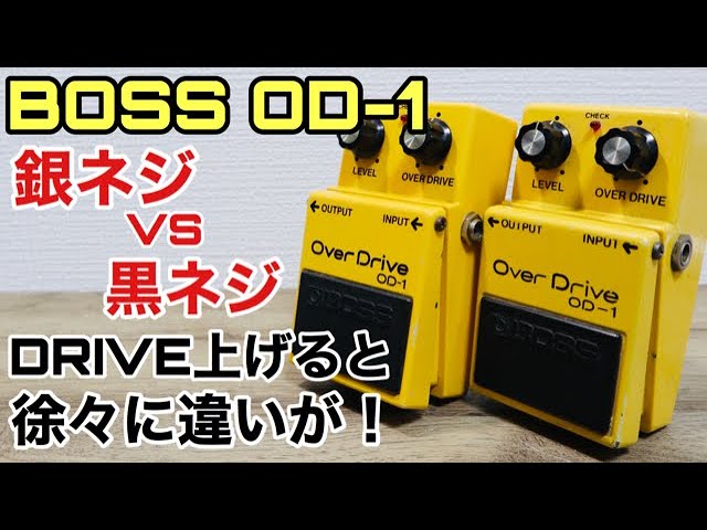 銀ネジODー1と黒ネジOD-1鳴らし比べ🎸【Presented by チバカン楽器