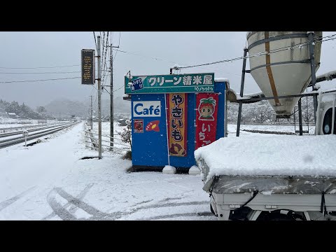 2026-02-21Snow Strawberry Part 2 - YouTube