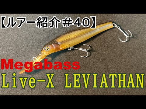 ルアー紹介＃40】メガバス ライブXリバイアサン 【introduce the
